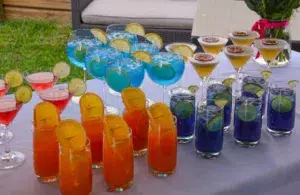 mobile-bar-drink-cocktail-services