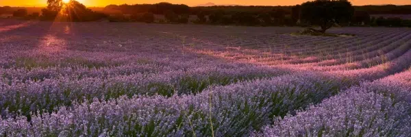 spring-weddings-spain