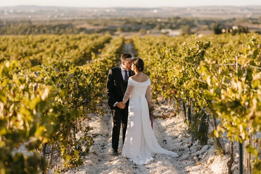 Bride and groom photographed between rows of vines
