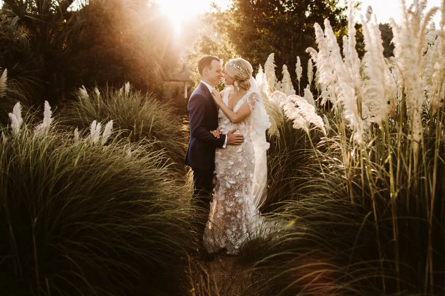 Couple photographed among pampas grass at golden hour