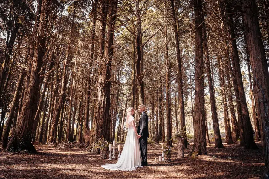 forest wedding ceremony set up in Fuengirola